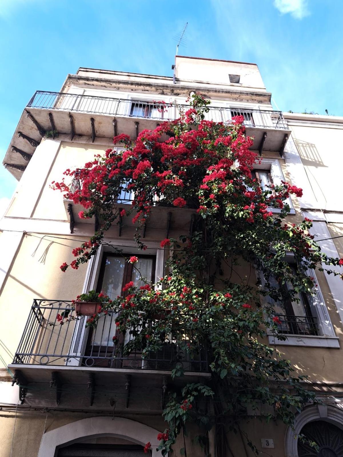 B&B L'Angolo Sulla Piazza Mirabella Imbaccari Kültér fotó